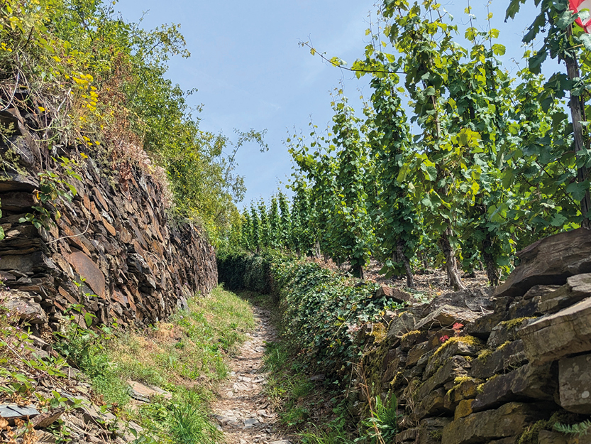 Schifffahrt an der Mosel